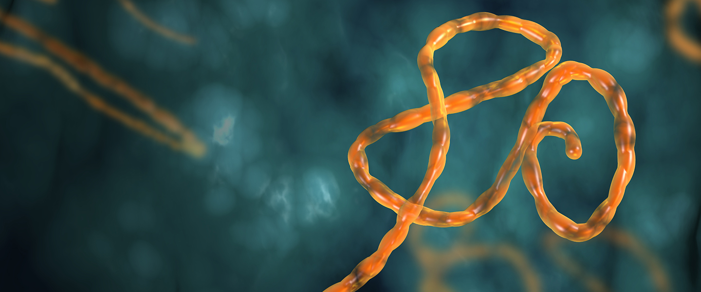Ebola Virusu Nedir Belirtileri Ve Tedavi Yontemleri Nelerdir